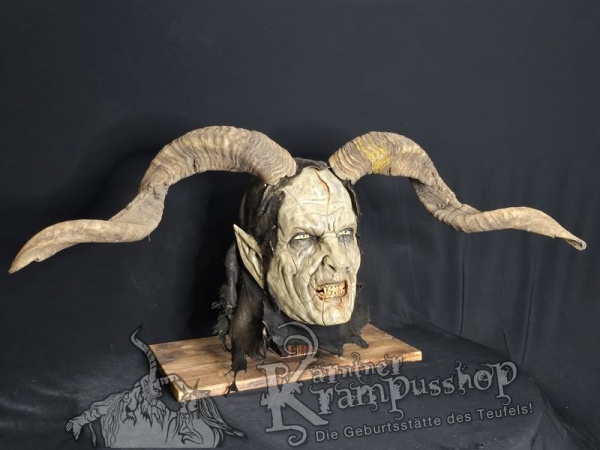 Hochland Widderhörner