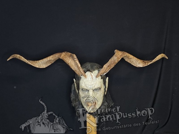 Ziegenbockhörner aus der Region Apulien