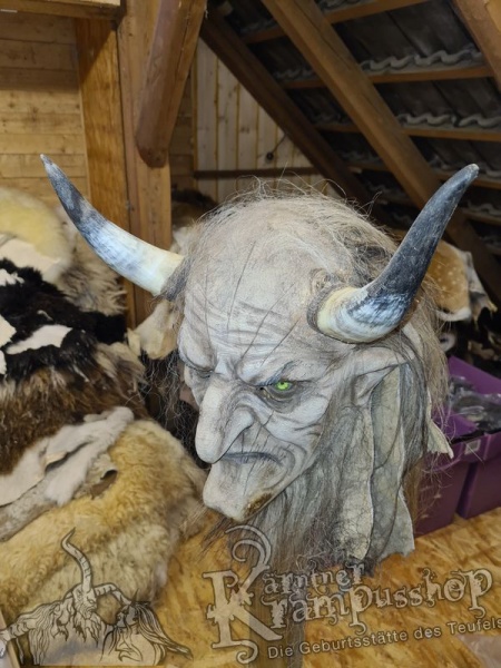 1 Paar Kuhhörner Mittel