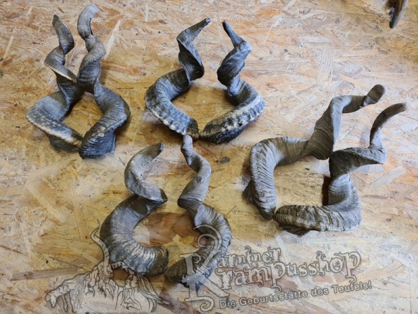 Heimische Widder NATUR Gerade gewachsen