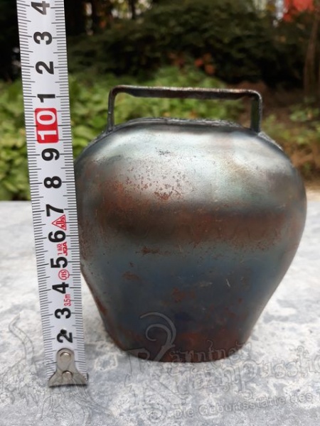 Froschmaulglocken Blank