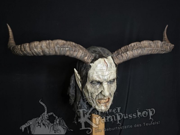Spanischer Steinbock