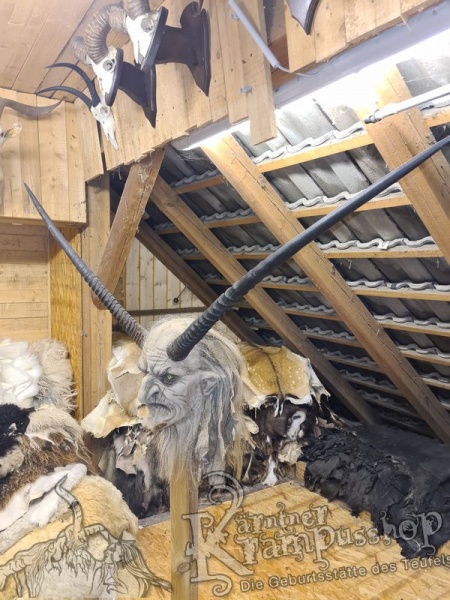 Orixantilope Paarweise