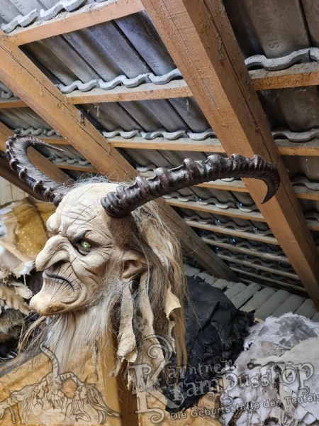 Arabischer Steinbock Model Nubia