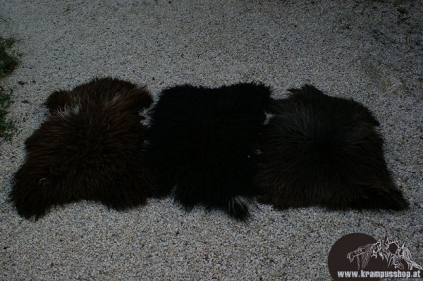 Schaf Langhaar Dunkelbraun Schwarzbraun
