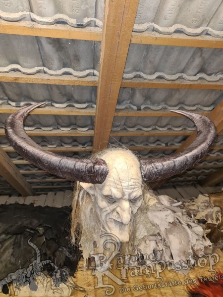 Afrikanischer Mähnenspringer Aoudad