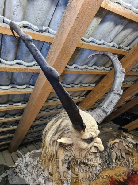 Türkischer Steinbock Bezoar Model AKI