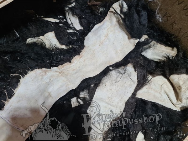 Naturschwarze Fell Reste Islandschaf Langhaar