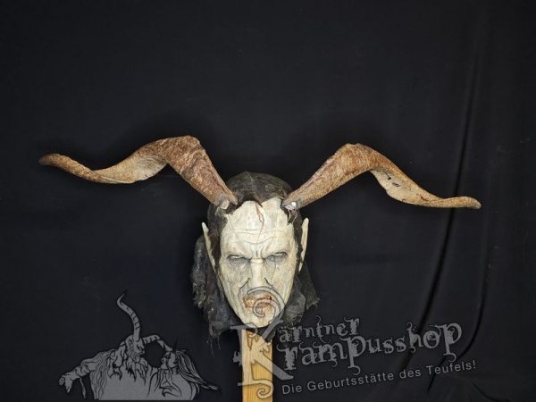 Ziegenbockhörner aus der Region Apulien