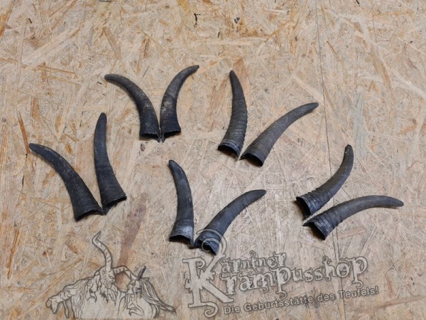 1 Paar Gaißhörner bis 20cm