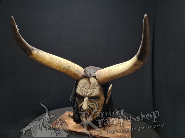 Watussi Rinderhörner