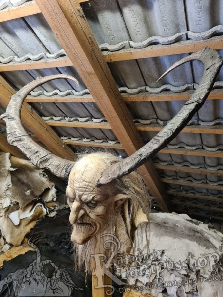 Türkischer Steinbock Bezoar Model Sidal