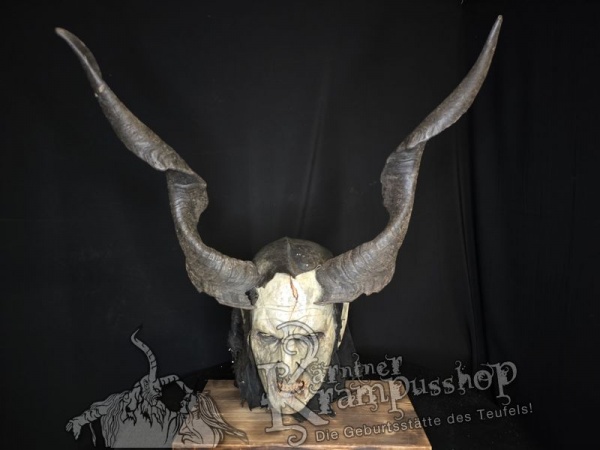 Ziegenbockhörner aus der Region Ampulien