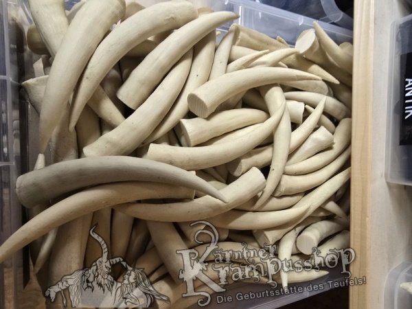 Krallen Irospitzen Beige