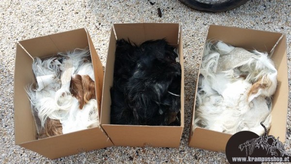 Weisse Fell Reste Schaf Heimisch Urig