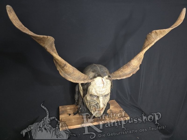 Ziegenbockhörner aus der Region Ampulien