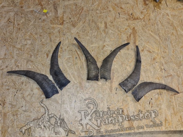 Bock Dunkel Kategorie E