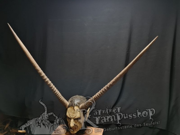 Hörner von der Orix Antilope