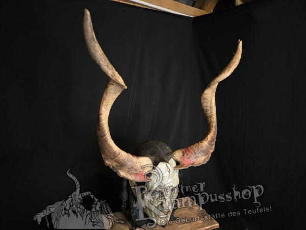 Ziegenbockhörner aus der Region Ampulien