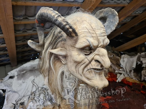 Heimische Widder NATUR Eingedreht Gewachsen