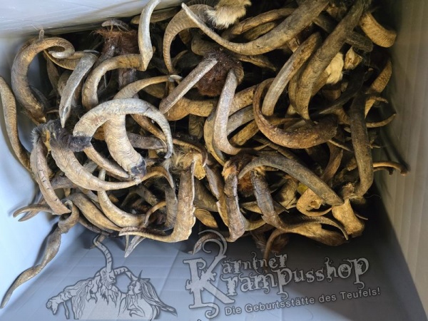 ANGEBOT Bockhörner mit Schädel Gemischt