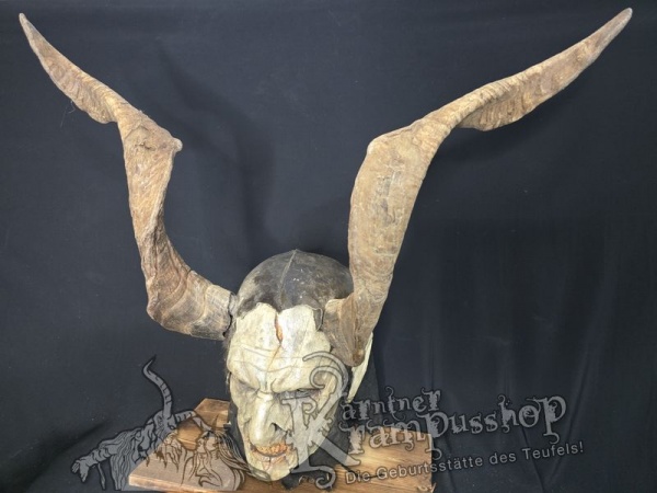 Ziegenbockhörner aus der Region Ampulien