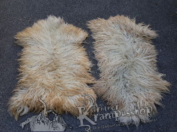 Schaf Langhaar Weiss