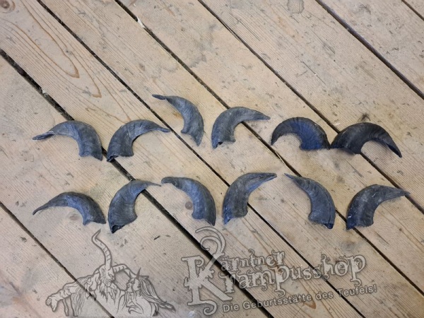 Heimische Widder Dunkel bis 20cm