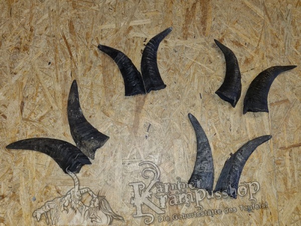 Bock Dunkel Kategorie C