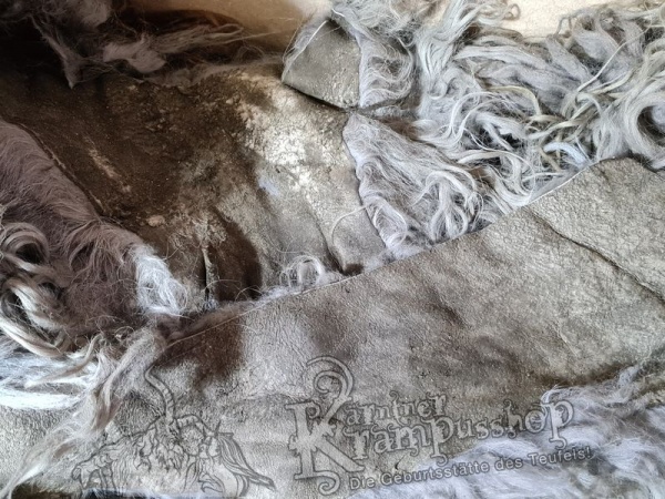 Urig gefärbte Fell Reste Islandschaf Langhaar