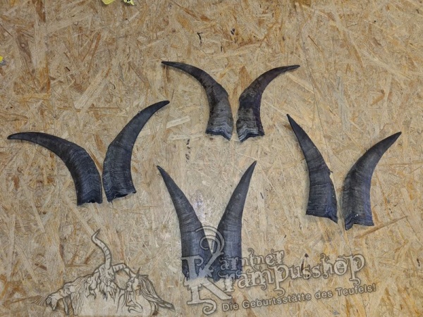 Bock Dunkel Kategorie D