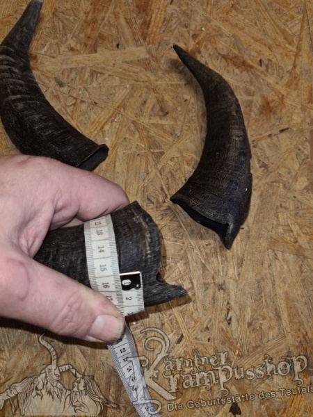 Bock Dunkel Kategorie C