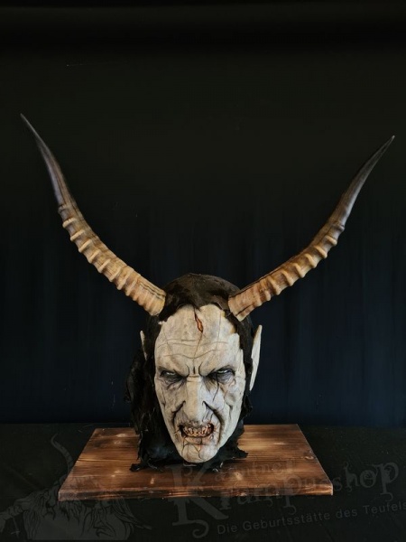 1 Paar Blessbockhörner Männlich