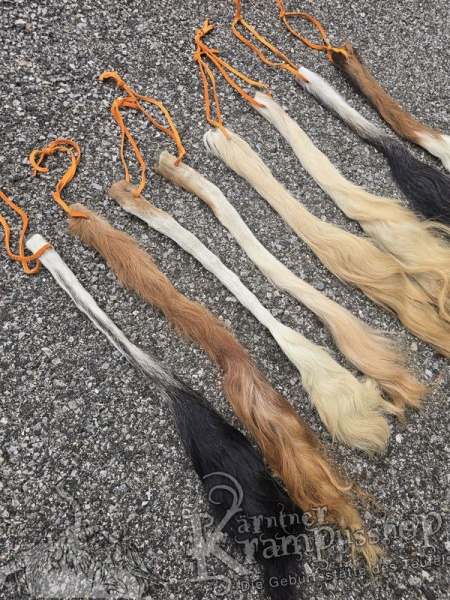 Kuhschweif Natur Grösse Small-Medium