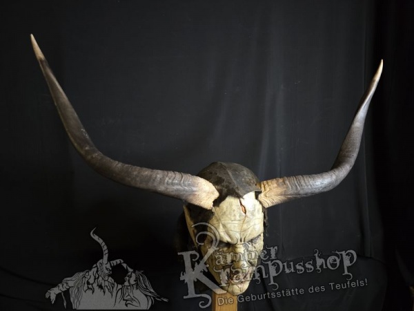 Nyala Antilope gross