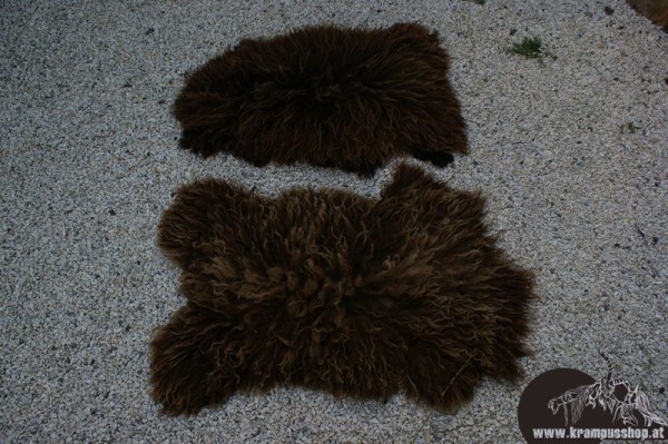 Haidschnucken Langhaar Helles Braun