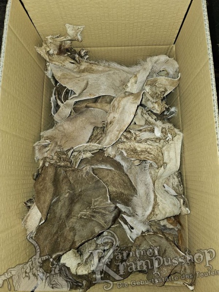 Ledrige Fellreste Hirsch und Gams Braun