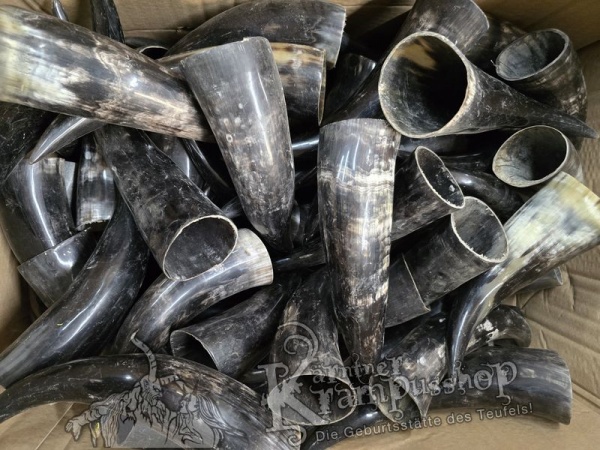 Polierte Kuhhörner Trinkhörner