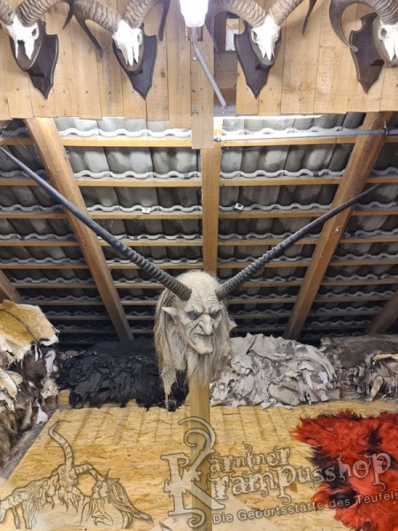 Orixantilope Paarweise