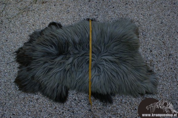 Haidschnucken Langhaar Grau