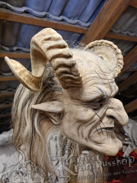 Heimische Widder NATUR Eingedreht Gewachsen