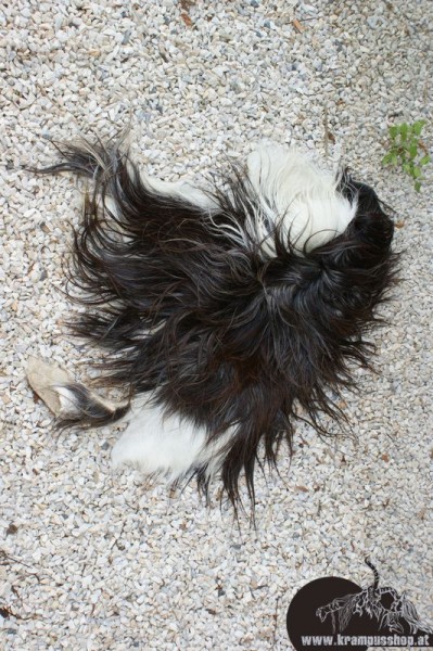 Kopffelle genäht Scheckig Naturgewachsen Kurzhaarig