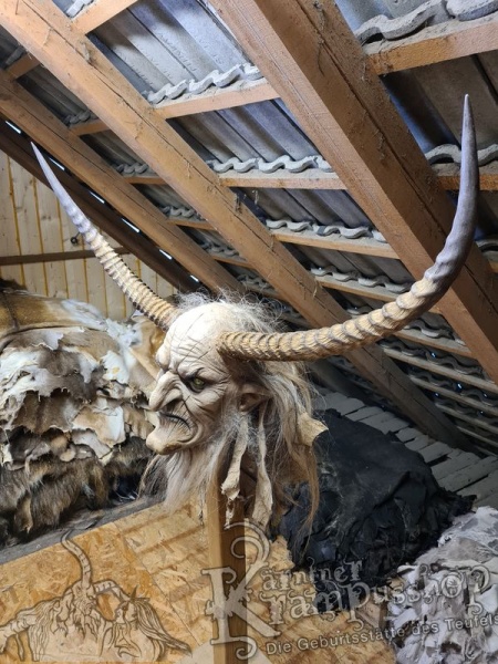 Afrikanische Wasserbock Hörner