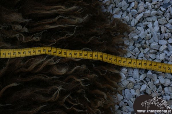 Haidschnucken Langhaar Helles Braun