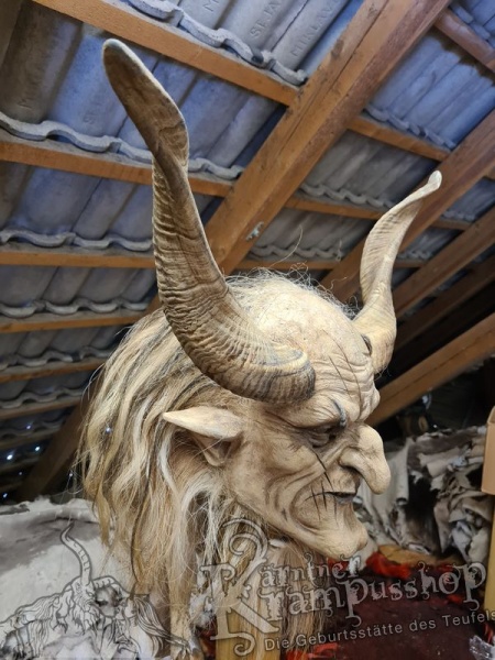 Afrikanische Widder Gross