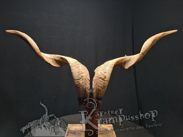 Ziegenbock mit Schädel aus der Region Apulien