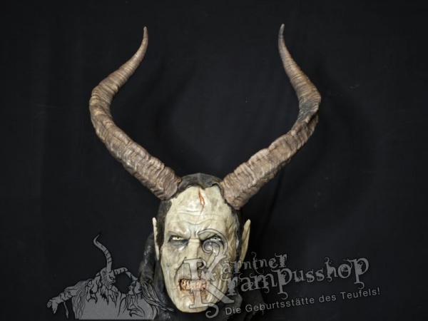 Spanischer Steinbock