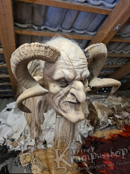 Heimische Widder NATUR Eingedreht Gewachsen