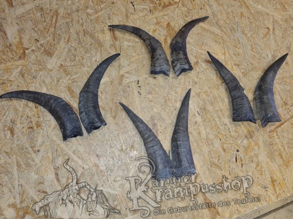 Bock Dunkel Kategorie D