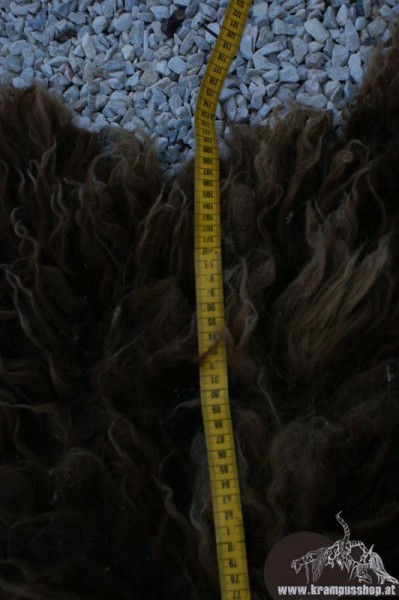 Haidschnucken Langhaar Helles Braun